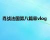 肖战法国第八篇章vlog