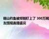 铜山钓鱼被邓刚盯上了 300万网友围观直播盛况