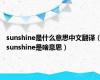 sunshine是什么意思中文翻译（sunshine是啥意思）