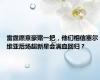 雷霆愿意豪赌一把，他们相信塞尔维亚后场超新星会满血回归？