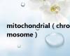 mitochondrial（chromosome）