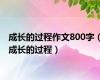 成长的过程作文800字（成长的过程）