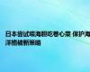 日本尝试喂海胆吃卷心菜 保护海洋植被新策略