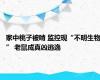 家中桃子被啃 监控现“不明生物” 老鼠成真凶逃逸