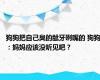 狗狗把自己臭的龇牙咧嘴的 狗狗：妈妈应该没听见吧？