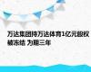 万达集团持万达体育1亿元股权被冻结 为期三年