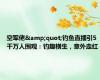 空军佬&quot;钓鱼直播引5千万人围观：钓趣横生，意外走红