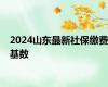 2024山东最新社保缴费基数