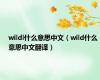 wildl什么意思中文（wild什么意思中文翻译）