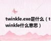 twinkle.exe是什么（twinkle什么意思）