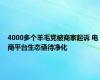 4000多个羊毛党被商家起诉 电商平台生态亟待净化