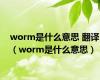 worm是什么意思 翻译（worm是什么意思）