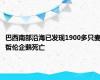 巴西南部沿海已发现1900多只麦哲伦企鹅死亡