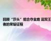 回顾“莎头”组合夺金路 混双王者的荣耀征程