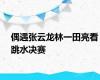 偶遇张云龙林一田亮看跳水决赛