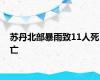 苏丹北部暴雨致11人死亡