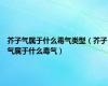 芥子气属于什么毒气类型（芥子气属于什么毒气）