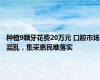 种植9颗牙花费20万元 口腔市场混乱，集采惠民难落实