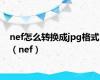 nef怎么转换成jpg格式（nef）