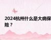 2024杭州什么是大病保险？