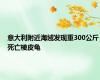 意大利附近海域发现重300公斤死亡棱皮龟