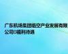 广东机场集团临空产业发展有限公司​福利待遇