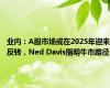 业内：A股市场或在2025年迎来反转，Ned Davis指明牛市路径