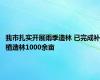 我市扎实开展雨季造林 已完成补植造林1000余亩