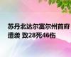 苏丹北达尔富尔州首府遭袭 致28死46伤