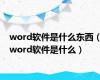 word软件是什么东西（word软件是什么）