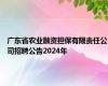 广东省农业融资担保有限责任公司招聘公告2024年