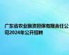 广东省农业融资担保有限责任公司2024年公开招聘