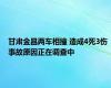 甘肃金昌两车相撞 造成4死3伤 事故原因正在调查中