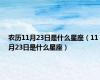 农历11月23日是什么星座（11月23日是什么星座）