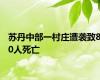 苏丹中部一村庄遭袭致80人死亡