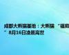 成都大熊猫基地：大熊猫 “福茹”8月16日凌晨离世