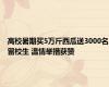 高校暑期买5万斤西瓜送3000名留校生 温情举措获赞