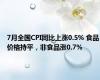 7月全国CPI同比上涨0.5% 食品价格持平，非食品涨0.7%