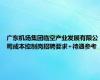 广东机场集团临空产业发展有限公司成本控制岗招聘要求+待遇参考