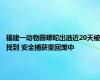 福建一动物园蟒蛇出逃近20天被找到 安全捕获重回笼中