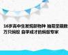 16岁高中生发现新物种 抽屉里藏数万只蚂蚁 自学成才的蚂蚁专家