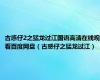 古惑仔2之猛龙过江国语高清在线观看百度网盘（古惑仔之猛龙过江）