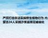 严厉打击非法采摘野生植物行为 内蒙古24人采摘沙葱韭菜花被查处