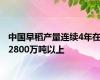 中国早稻产量连续4年在2800万吨以上