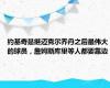 约基奇是继迈克尔乔丹之后最伟大的球员，詹姆斯库里等人都要靠边