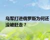 乌军打进俄罗斯为何还没被赶走？