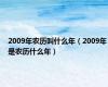 2009年农历叫什么年（2009年是农历什么年）