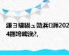 濂ヨ繍鍋ュ効浜浉2024鍘垮崥浼?,