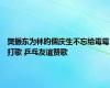 樊振东为林昀儒庆生不忘给霉霉打歌 乒乓友谊赞歌