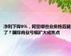 净利下降9%，阿里哪些业务拖后腿了？国际商业亏幅扩大成焦点